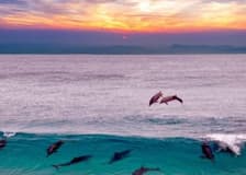 Marsa Alam: Overnight Stay at Sataya Dolphin House + Snorkeling
