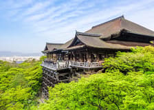 Kyoto's Top Temples Guided Tour: Fushimi Inari, Kiyomizu-dera & Kinkaku-ji from Osaka/Kyoto