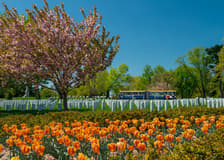 Arlington National Cemetery Tour