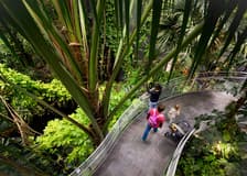 California Academy of Sciences Tickets