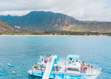 Oahu: Guided Dolphin Watching & Snorkeling Tour + Lunch + Roundtrip Transfer