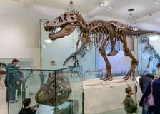 American Museum of Natural History Tickets