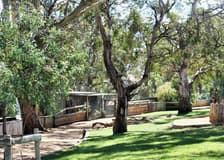 Bonorong Wildlife Sanctuary Tickets
