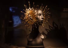 ArtScience Museum Exhibition Tickets