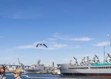 San Diego Harbor: 2-Hour Cruise with Live Guide