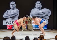The Sumo Hall Hirakuza Osaka Admission Ticket