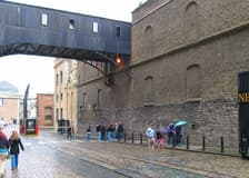 Combo: Dublin Hop-on Hop-off Bus Tour + Guinness Storehouse & Gravity Bar Tickets