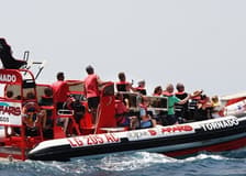 Algarve: Guided Dolphin Watching Tour