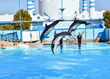 Hurghada Dolphin World Show with Walruses Tickets & Transfers