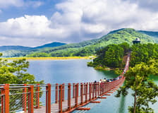 DMZ Full-Day Tour with Suspension Bridge Visit