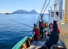 From Svolvær: Lofoten Fishing Boat Cruise