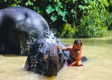 Ao Nang Elephant Sanctuary Half-Day Guided Tour with Hotel Transfers