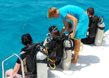 Red Sea Scuba Diving for Certified Divers