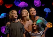 SEA LIFE Sunshine Coast Aquarium Tickets