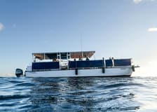 Turtle Canyon: Snorkel Tour