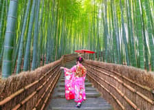 Kyoto Guided Tour: Bamboo Grove, Shrines & Nara Park from Osaka
