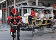 French Quarter by Mule Drawn Carriage: 60-Minute Tour