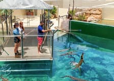 Crocosaurus Cove Tickets with VIP Tour
