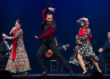 Sensaciones - Teatro Flamenco Granada