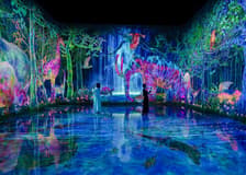 teamLab Planets TOKYO Tickets