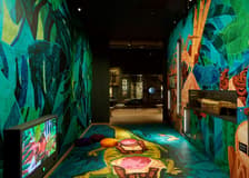 World Museum Rotterdam: Entry Ticket
