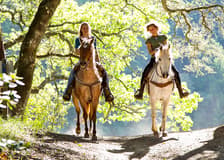 Tickets to 1.5-Hour Horseback Riding Experience from Siena