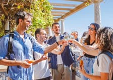 Lisbon: Guided Walking Tour in Baixa, Chiado & Alfama