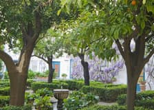 Viana Palace: Guided Tour