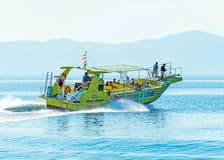 Bay of Alcudia Cruise with Caves Visit & Snorkeling