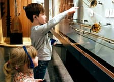 Musical Instruments Museum Brussels: Fast Track Entry