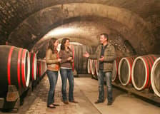 From Dubrovnik: Pelješac Peninsula Small Group Wine Tour