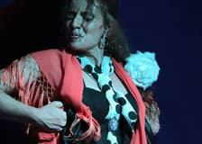 Kelipé Flamenco Show