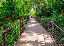 Combo: Darwin Hop-On Hop-Off Bus Tour + Royal Flying Doctor Service + Crocosaurus Cove Tickets