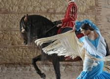 Equestrian Show 'Passion and Spirit of the Andalusian Horse'