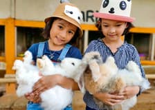 Melaka Crocodile & Recreational Park Admission