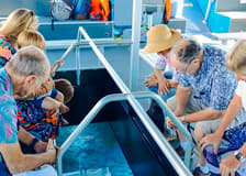 From Airlie Beach: Whitsundays Glass-Bottom Boat Tour