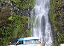 Madiera: Volcanic Pools & Forest 4X4 Jeep Tour