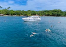 Snorkelling-Only Tour by Speed Boat with Lunch & Transfers
