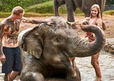  Bali Zoo Tickets with Elephant Feeding & Mud Bath 
