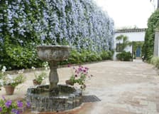 Viana Patios