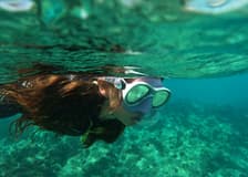Playa Blanca: Guided Snorkeling Experience + Transfers