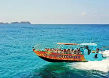 Santa Ponsa: Caves, Cliffs & Coves Boat Trip + Snorkelling