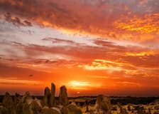 Pinnacles Sunset, Stargazing, & Wildlife Spotting Tour with Tavern Dinner & Round-Trip Transfers