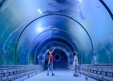 Hurghada Grand Aquarium Entry Tickets