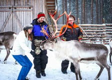 Reindeer Farm and Sledding Experience