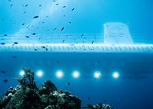 Atlantis Cozumel: Submarine Experience