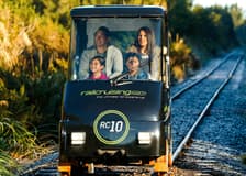 Ngongotaha Ultimate Journey: 2-Hour Self-Drive Rail Car