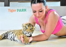 Tiger Park Tickets: Non-Thai Residents