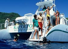 Kapolei: Morning Dolphin Watching Cruise + Snorkeling + Lunch + Drinks