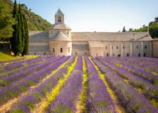 From Marseille: Lavender Fields Tour